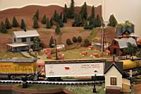 traveling_boxcar_2006_california-10.jpg