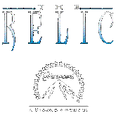  THE RELIC 